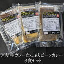 宮崎牛カレーたっぷりビーフカレー 3食セット (べにはるかチャツネ付き) カレー宮崎牛カレー250g×3個 べにはるかチャツネ30g×3個 ご当地 レトルト 宮崎牛 国産 九州産 宮崎産 高級 高品質 ギフト プレゼント 送料無料 ウエルネス かごしまや