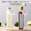 御祝・御礼ギフト用 日向へべぽん ＋ 日向へべすシロップ セット 150ml 各1本 日向へべす シロップ漬け 果実 フルーツ 瓶 詰め合わせ おしゃれ かわいい お祝 お礼 国産 九州産 宮崎産 水引 熨…