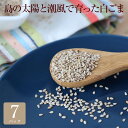 島の太陽と潮風で育った白ごま × 7セット ゴマ 白ゴマ 美容 健康 パック セット 国産 九州産 鹿児島産 プレゼント 贈答用 贈答品 贈り物 送料無料 喜界...