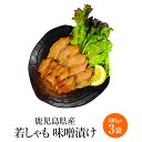 鹿児島産 若しゃも味噌漬け 100g × 3袋 むね肉 胸肉 ムネ肉 若鶏 地鶏 軍鶏 みそ漬け 鶏肉 冷凍 国産 九州産 鹿児島産 おつまみ ギフト プレゼン...