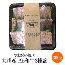 やまさきの焼肉 九州産 A5和牛3種盛 300g A5 黒毛和牛 希少部位 カルビ ロース バラ 焼肉 焼き肉 霜降り肉 牛肉 冷凍 国産 九州産 おつまみ セット 盛り合わせ ギフト プレゼント 小分け 業務用 産地直送 送料無料 やまさき かごしまや