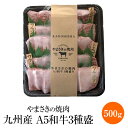 焼肉セット 九州産 A5 黒毛和牛 3種盛 500g カルビ ロース バラ 高級 焼き肉 セット やきにく 焼肉 牛肉 自宅 家庭 家庭用 贈答用 ギフト プレゼント 鹿児島 やまさき かごしまや