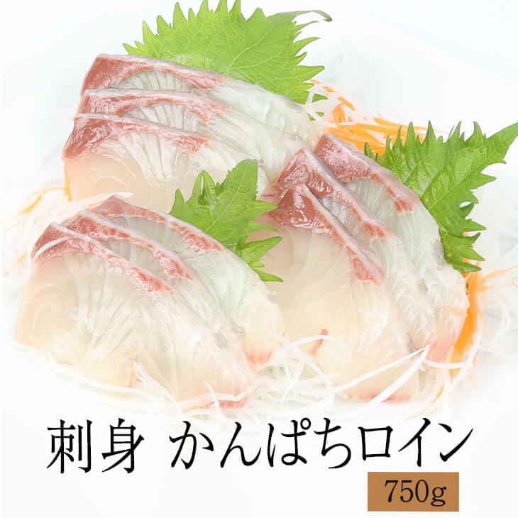 刺身 かんぱちロイン（養殖）背・腹身　750g（刺身用） 鹿児島県 かんぱち 魚 新鮮 おつまみ 鮮 ...