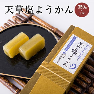 天草の塩ようかん 1本 350g 羊羹 羊かん 海味の塩ようかん あおさ塩ようかん アオサ 天草謹製認定品 ご当地 スイーツ おやつ 和菓子 お茶菓子 珍しい お取り寄せ お土産 プチギフト 天草 熊本名物 熊本銘菓 熊本県産 ギフト プレゼント 送料無料 黒瀬製菓舗 かごしまや