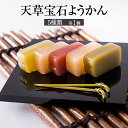 天草の宝石ようかん 5種類入り 一切れサイズ 羊羹 羊かん 塩ようかん 天草南蛮柿 完熟いちじく イチジク 無花果 天草晩柑 河内晩柑 天草いくり すもも 李 ...