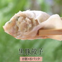 餃子 黒豚 黒豚餃子8パック おかず 冷凍 国産 セット ギフト プレゼント 鹿児島産 送料無料 AKR Food Company株式会社 かごしまや 父の日 母の日