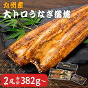 うなぎ 国産 大トロうなぎ 蒲焼き 191g〜209g × 2尾/4尾 秘伝のタレ付き 冷凍 鹿児島 鰻 土用の丑の日 お祝 お歳暮 プレゼント 送料無料 鯉家...