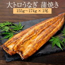 【 大トロ うなぎ 鰻 蒲焼き 国産 155g～174g × 1尾 】冷凍 鹿児島 ウナギ ギフト プレゼント 鯉家 かごしまや