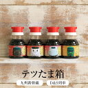 九州 醤油 テツたま箱 【JR西日本】 しょうゆ 甘口 卵かけ醤油 卵かけご飯 調味料 国産 博多 タケシゲ醤油 タビグルメ