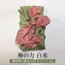 米 自然米 奇跡の自然米 神の力 1kg 桐箱風呂敷包み 若草・ピンク 白米 コシヒカリ 無肥料 無農薬 国産 九州産 佐賀県産 ギフト プレゼント 贈答用 贈り物 お祝い 自然栽培園北村 タビグルメ