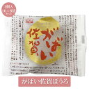 がばい佐賀まるぼうろ 1個入 10×8袋 80個 菓子 丸ぼうろ 九州銘菓 お土産 まとめ買い 送料無料 佐賀 本村製菓株式会社 かごしまや