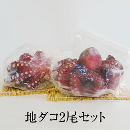 たこ 地ダコ2尾セット 長崎産 国産 冷凍 ギフト ギフトセット プレゼント 送料無料 丸政水産 かごしまや