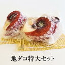 たこ 地ダコ特大セット 長崎産 国産 冷凍 ギフト ギフトセット プレゼント 送料無料 丸政水産 タビグルメ