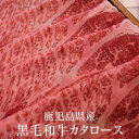 牛肉 鹿児島県産 黒毛和牛 カタロース 500g 冷凍 牛 肉 国産 九州産 鹿児島県産 送料込み ギフト プレゼント お祝 鮮度 お肉屋さん グルメスタジアム...