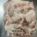 牛肉 鹿児島県産 黒毛和牛すじ 500g 冷凍 おでん カレー 煮込み料理 牛 肉 国産 九州産 鹿児島県産 送料込み ギフト プレゼント グルメスタジアム かごしまや 父の日 母の日