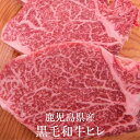 牛肉 鹿児島県産 黒毛和牛ヒレ 150g × 2枚 冷凍 牛 肉 国産 九州産 鹿児島県産 送料込み ギフト プレゼント グルメスタジアム かごしまや