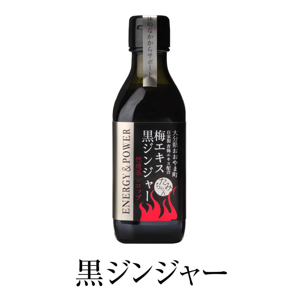 栄養ドリンク 黒ジンジャー 200ml 美容 健康 無添加 国産 九州産 大分県産 送料無料 森食品 タビグルメ