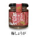 しょうが 梅しょうが 120g 調味料 薬味 ご飯のお供 肉料理 万能調味料 国産 九州産 大分県産 送料無料 森食品 かごしまや 父の日 母の日