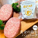 牛肉 黄金の島牛ハンバーグ150g × 5個 セット 冷凍 牛 肉 国産 九州産 送料無料 農業法人NIKUYA NIKUYA タビグルメ(4)