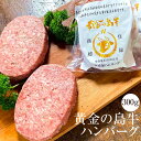 牛肉 黄金の島牛ハンバーグ150g × 5個 セット 冷凍 牛 肉 国産 九州産 送料無料 農業法人NIKUYA NIKUYA かごしまや 父の日 母の日