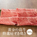牛肉 黄金の島牛特選すき焼き 300g 冷凍 すき焼き用 牛 肉 国産 九州産 送料無料 農業法人NIKUYA NIKUYA タビグルメ