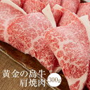 牛肉 黄金の島牛肩焼肉 300g 冷凍 焼肉用 牛 肉 国産 九州産 送料無料 農業法人NIKUYA NIKUYA タビグルメ