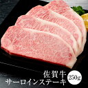 牛肉 佐賀牛サーロインステーキ 250g