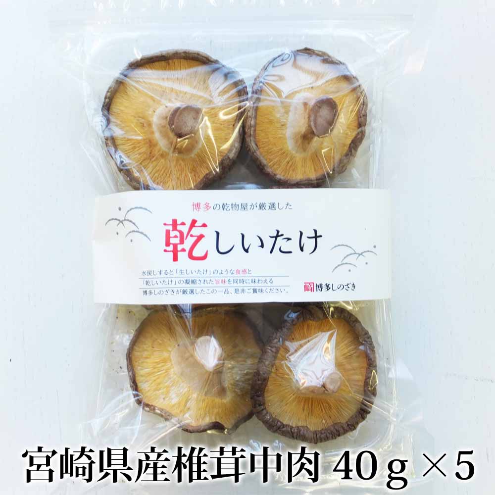 宮崎県産椎茸中肉 40g×5セット 中肉 菌床 干し椎茸 国産 送料無料 福岡 篠崎一雄商店 かごしまや 父の日