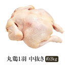 鶏肉 国産 丸鶏1羽 中抜き 約2kg 冷凍 冷凍便 鶏 肉 ギフト プレゼント 贈り物 贈答用 ゼクストインターナショナル かごしまや
