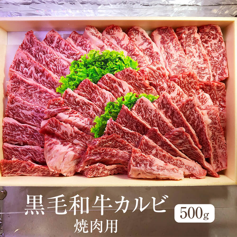 牛肉 黒毛和牛 カルビ バラ肉 焼肉用 500g 冷凍 冷凍便 国産 和牛 牛 肉 ギフト プレゼント 贈り物 贈答用 ゼクストインターナショナル タビグルメ