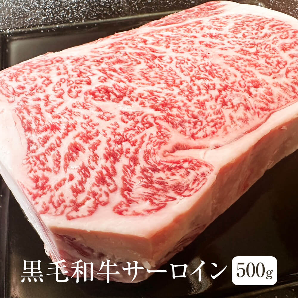 牛肉 黒毛和牛 サーロイン 500g ブロックカット 冷凍 冷凍便 国産 和牛 牛 肉 ギフト プレゼント 贈り物 贈答用 ゼクストインターナショナル かごしまや 父の日