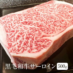 牛肉 黒毛和牛 サーロイン 500g ブロックカット 冷凍 冷凍便 国産 和牛 牛 肉 ギフト プレゼント 贈り物 贈答用 ゼクストインターナショナル かごしまや