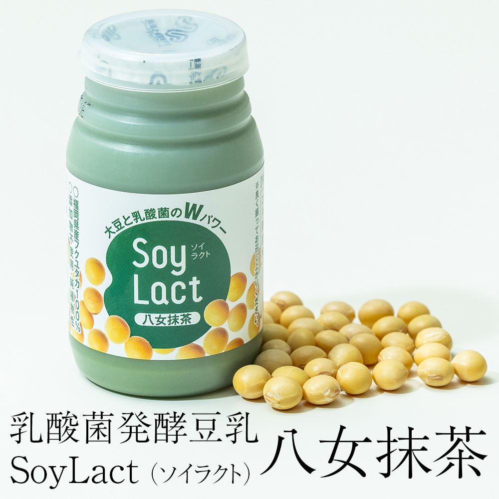 父の日 豆乳 乳酸菌発酵豆乳 SoyLact ソイラクト 八女抹茶 100ml 選べる本数 イソフラボン 抹茶 無添加 乳酸菌 発酵 腸活 免疫 九州 国産 株式会社アガペファーム かごしまや