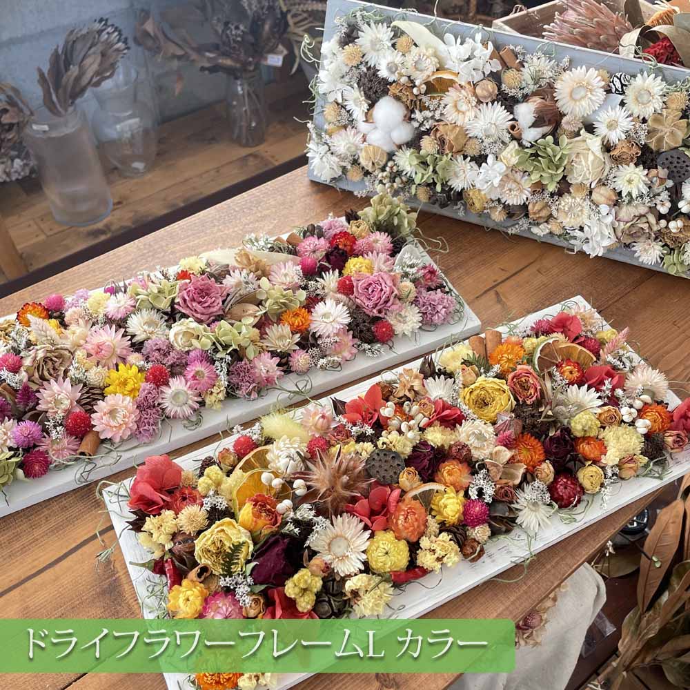 ドライフラワーフレームLカラー 42cm×17cm 長方形 フラワーギフト インテリアフラワー プレゼント 送料無料 福岡 kukka かごしまや 父の日 1