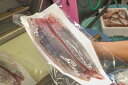 鹿児島県産養殖鰤 1尾 3.5~4.0kg 鰤 ぶり 養殖ぶり 活魚 鮮魚 活け締め 神経抜き カット加工 真空パック 長島 東町漁協 鹿児島県産 魚介類 お取り寄せ 国産 さるがく水産 タビグルメ