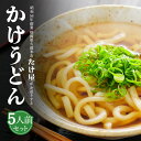 うどん かけうどんセット 5人前 うどん麺 ネギ 出汁 九州 冷蔵便 ギフト ギフトセット プレゼント 送料無料 たけ屋 タビグルメ