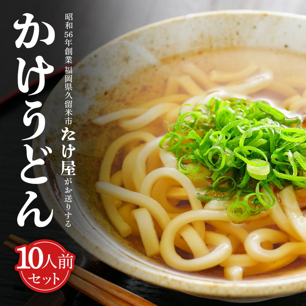 うどん かけうどんセット 10人前 うどん麺 ネギ 出汁 九州 冷蔵便 ギフト ギフトセット プレゼント 福岡 送料無料 たけ屋 タビグルメ