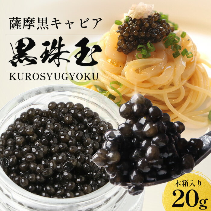 【期間限定】薩摩黒キャビア 黒珠玉 20g 国産 キャビア チョウザメの卵使用 パスタ おつまみ 料理の色どりに! お取り寄せ 高級食材 贈答用 高校生 チョウザメ 黒キャビア ギフト プレゼント 父の日 お中元 黒殊玉 送料無料 鹿児島 枕崎 タビグルメ