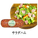 国産 豚肉使用 サラダハム 800g ハム プレスハム サラダ ヘルシー 豚 国産 モモ 肉 ギフト 贈答 お中元 暑中お見舞い 内祝い 御礼 誕生日 プレゼント 贈答 お取り寄せ チルド 冷凍便 送料無料 ナンチク タビグルメ