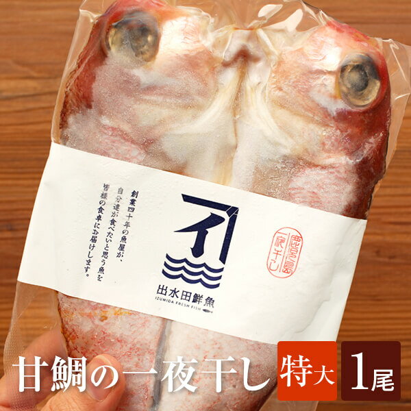 甘鯛 甘鯛一夜干し 特大 240g × 1尾 干物 冷凍 魚 アマダイ ギフト 鹿児島 かごしま 出水田鮮魚 かごしまや