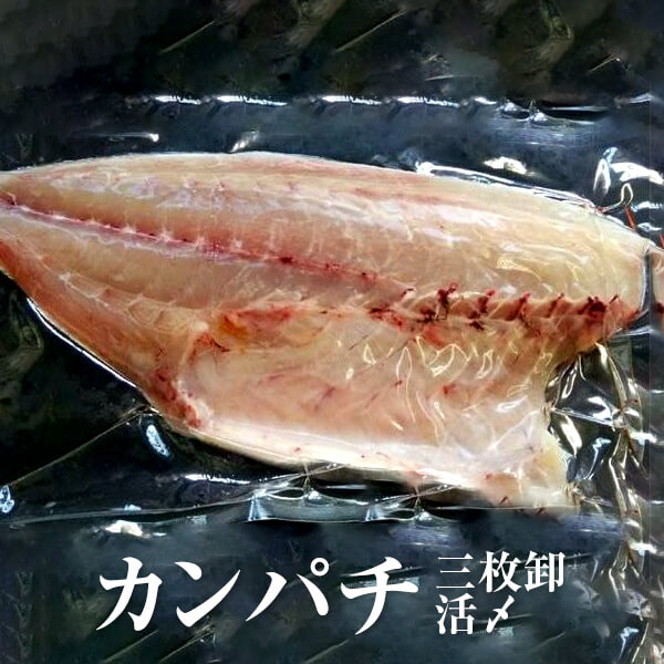 カンパチ 三枚卸 活〆 刺身 鮮魚 直送 鹿児島産 真空包装 冷蔵 出水田鮮魚 かごしまや 父の日