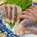 カンパチ 刺身 ブロック 柵 鹿児島産 真空包装 冷蔵 出水田鮮魚 かごしまや 父の日 母の日