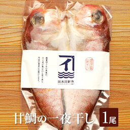 甘鯛 甘鯛一夜干し 160g × 1尾 干物 冷凍 魚 アマダイ ギフト 鹿児島 かごしま 出水田鮮魚 かごしまや 父の日 母の日