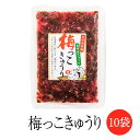 漬物 漬け物 梅っこきゅうり10袋セット うめ 梅 きゅうり ご飯のお供 宮崎県 国産 詰め合わせ 送料無料 ヤマイチ農園合同会社 タビグルメ