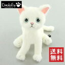 【ぬいぐるみ】【送料無料】Cuddly (カドリー) ドロップス白 ブルーアイ