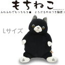 もちねこL クツシタ【高橋ヒロム・高橋ダリル】【ぬいぐるみ】高橋ヒロム ダリル/もちねこ ハチワレ/ダリル/高橋ダリル/もちねこ