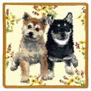 y[։zEnjeauiA[W[j Flower~Dog Vo nJ`/Enjeau/A[W[/VFj[D /VFj[^I/VFj[^InJ`/~j^InJ`