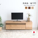 【エントリーでP7倍&クーポン4%OFF】 ローボード テレビ台 収納 120 おしゃれ ロータイプ テレビボード 木製 木目調 リビングボード 完成品 日本製 引き出し 開き扉 北欧 モダン 奥行き42 収納家具 ナチュラル ブラウン シャビーナチュラル 「商:大」「才:8」(3)