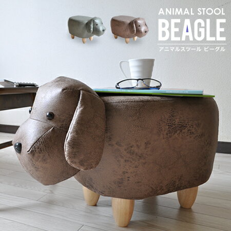 Aj}Xc[ Xc[   u r[O Ibg} u TChe[u LbY[ q   STOOL BEAGLE