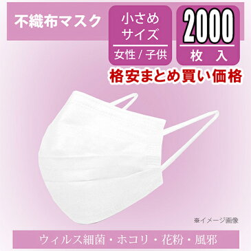 26日迄 pt8倍+クーポン★不織布 小さいマスク 2000枚 個包装 ウイルス ブロック 立体 3層 フィルター 使い捨てマスク 小さめ 女性用 子供用 衛生 r20